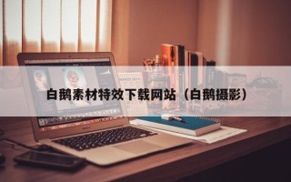 恩施白鹅素材特效下载网站（白鹅摄影）